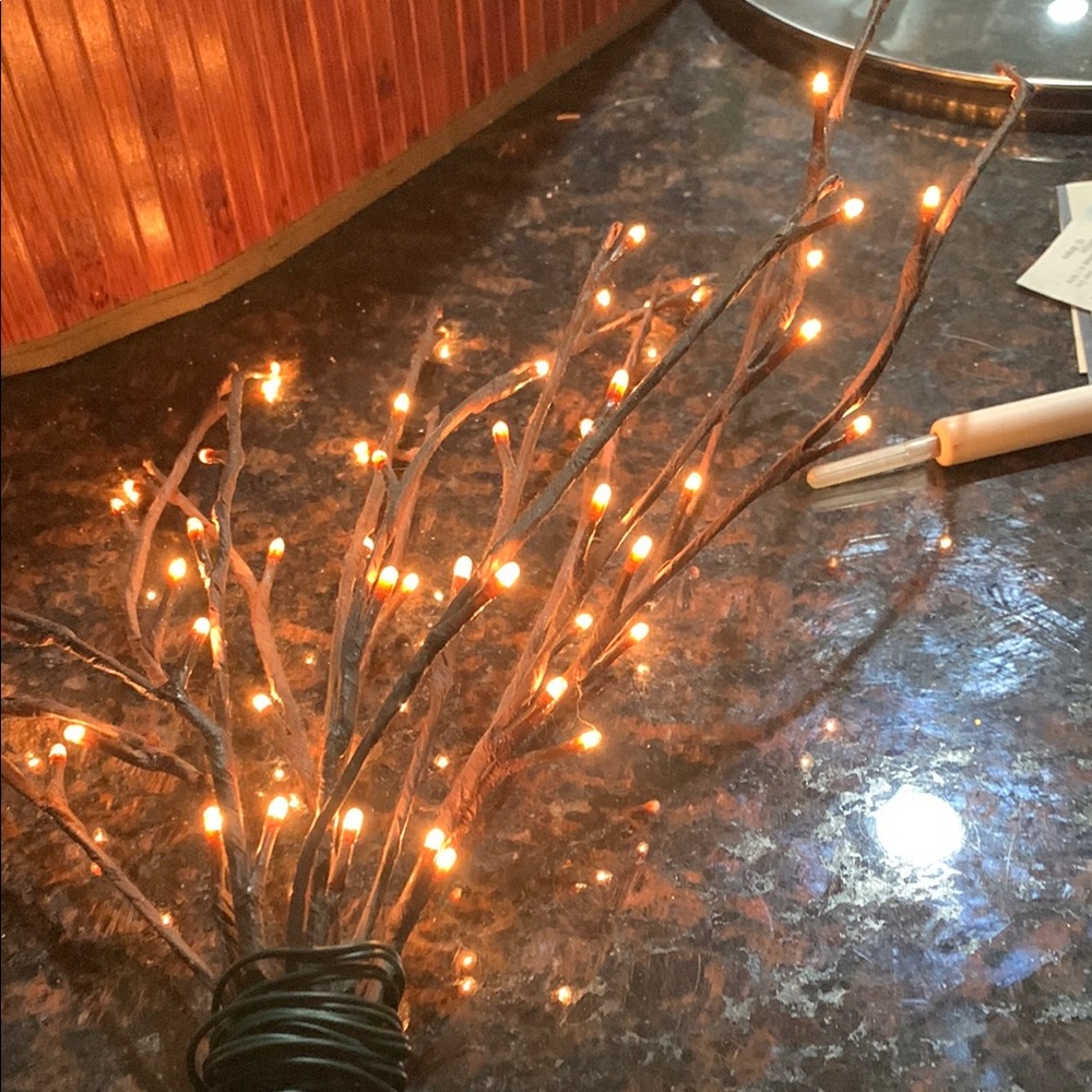 Warm LED Lighted Branches - Picture 2 of 4